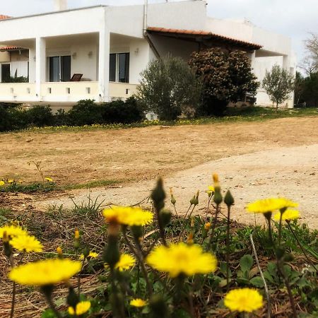 فيلا The Hillhouse Near Alexandroupolis المظهر الخارجي الصورة